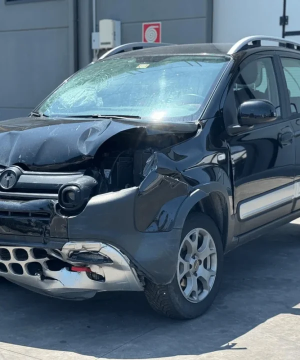 FIAT PANDA CROSS (33)