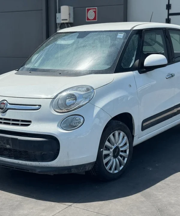 FIAT 500L (73)