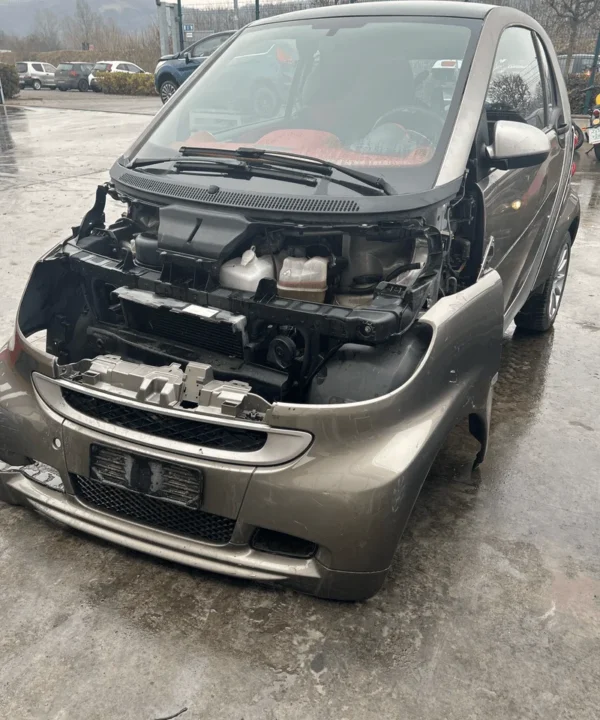 SMART FORTWO (A/C451)