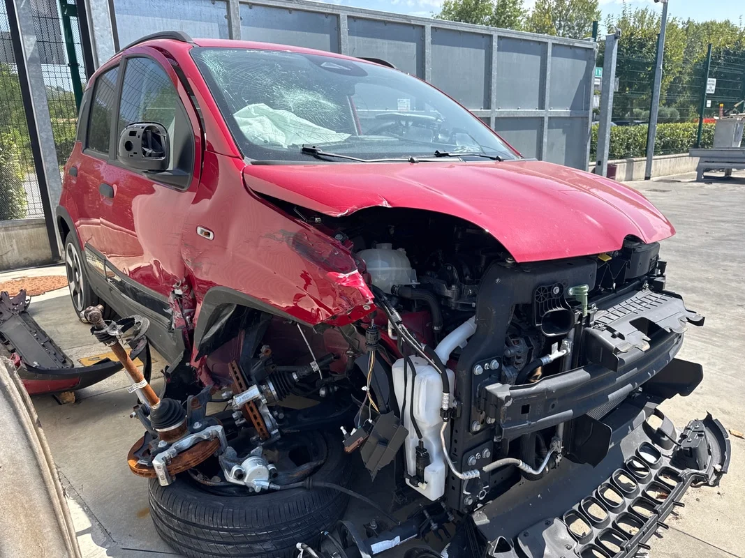 FIAT PANDA (8Q) - immagine 4