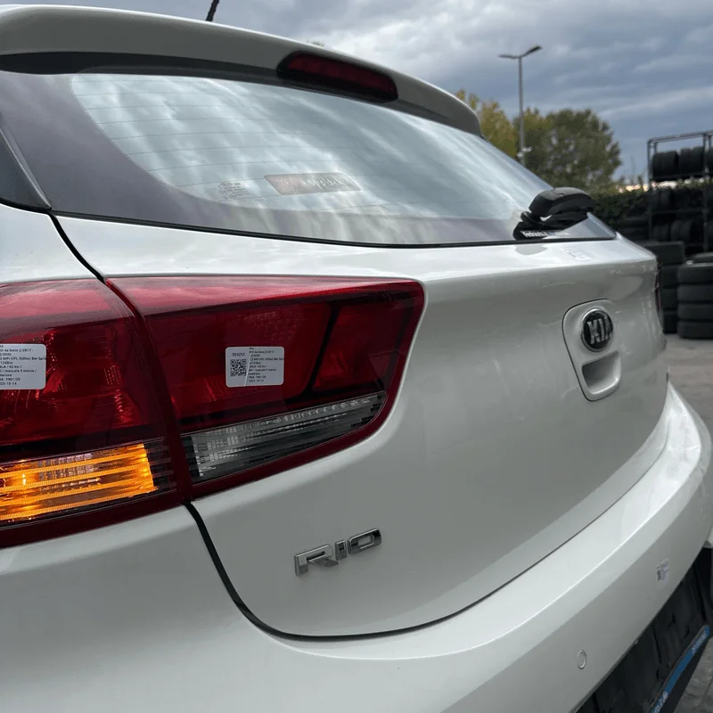 Portello post. - immagine 4