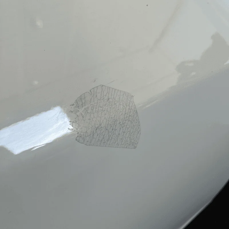 Porta ant. - immagine 4