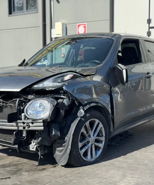 NISSAN JUKE (F15E)