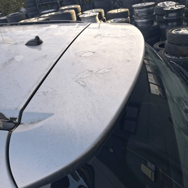 Portello post. - immagine 4