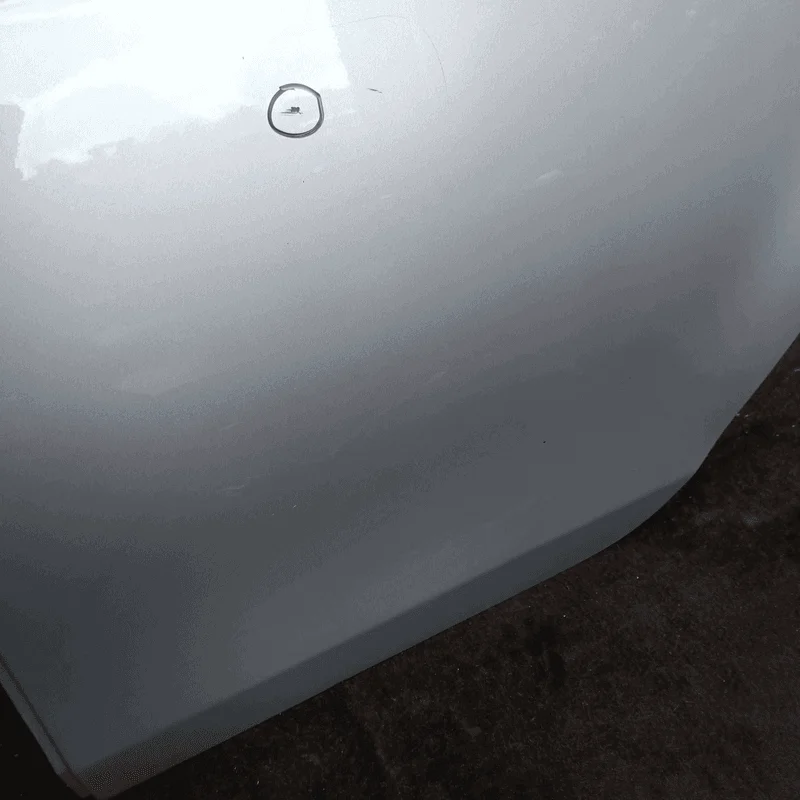 Porta post. - immagine 5