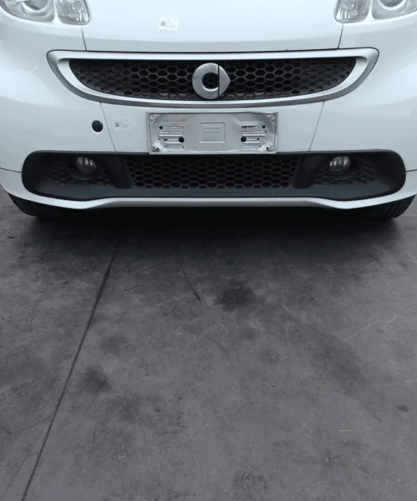 Paraurti ant. centr.