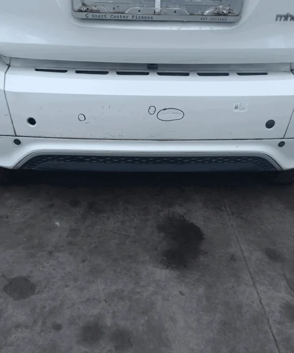 Paraurti post. centr.