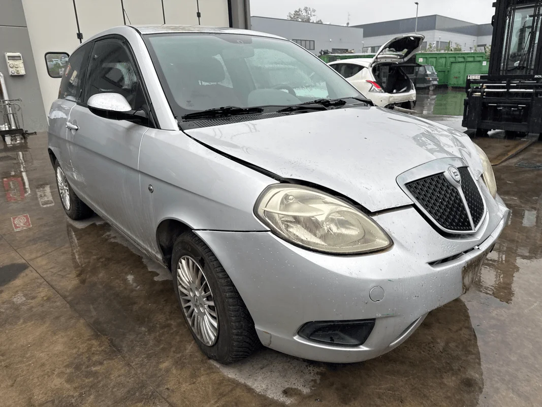 LANCIA YPSILON (TE) - immagine 4