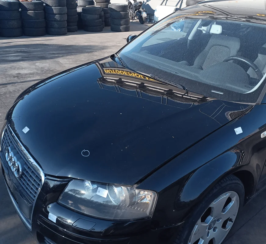 Cofano ant. - immagine 2