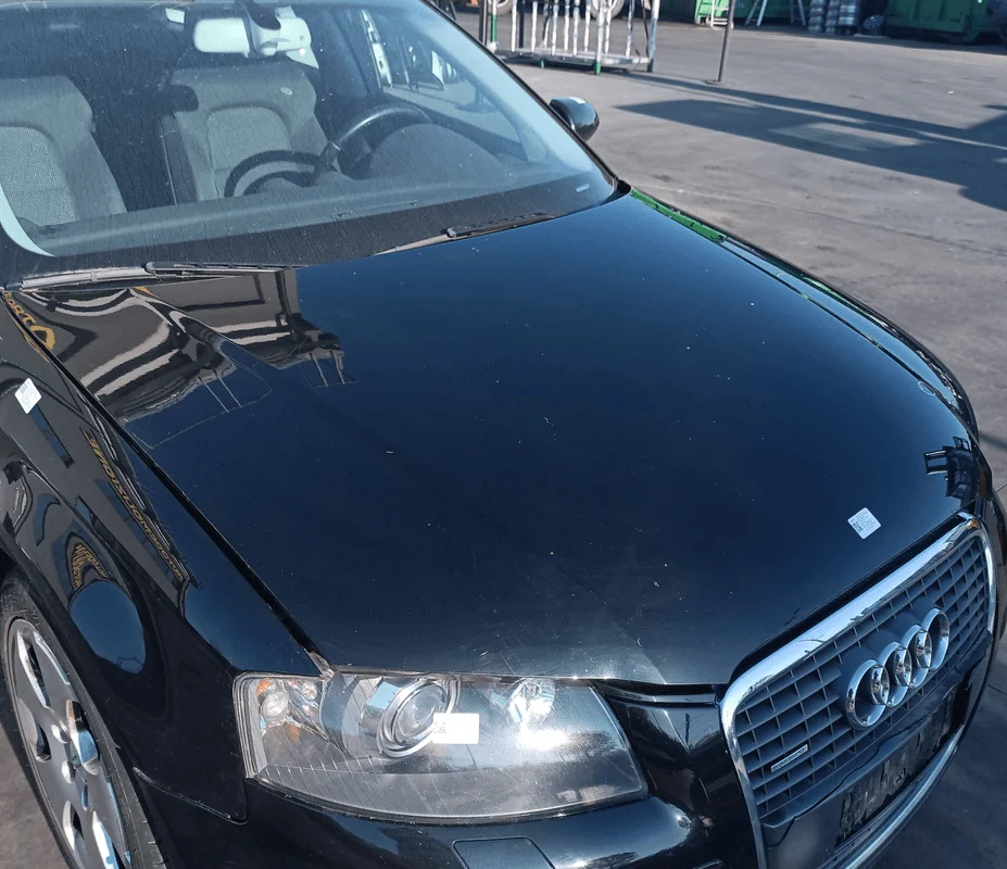 Cofano ant. - immagine 3