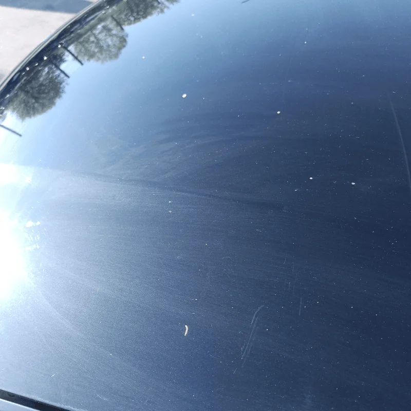 Cofano ant. - immagine 6