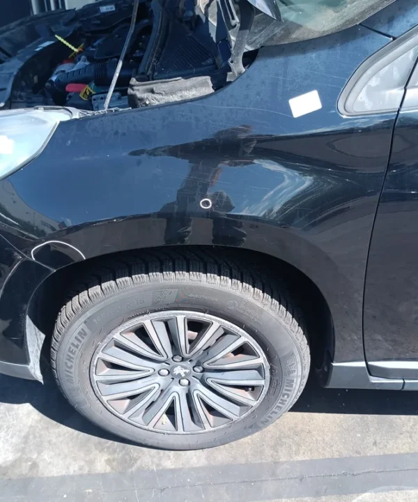 Parafango ant. Sinistra
