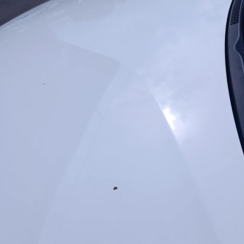 Cofano ant. - immagine 6