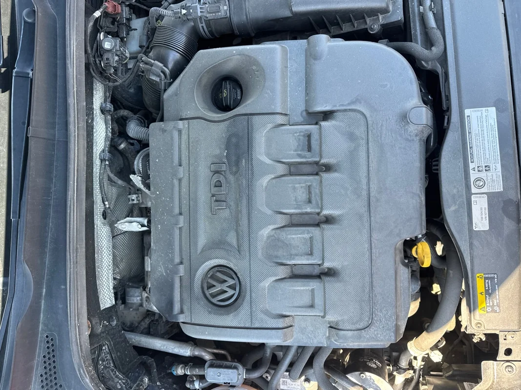 VOLKSWAGEN GOLF (BQ) - immagine 9