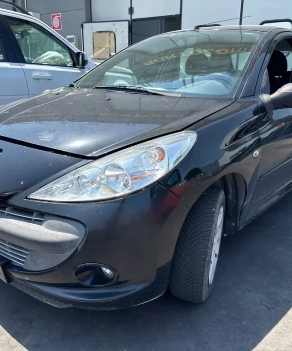 PEUGEOT 206 Plus
