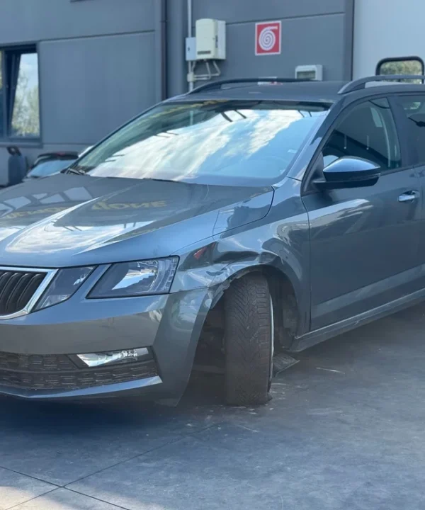 SKODA OCTAVIA (5E)