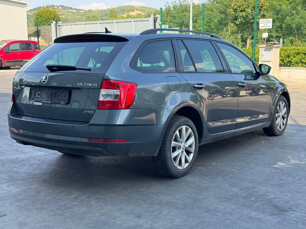 SKODA OCTAVIA (5E) - immagine 5