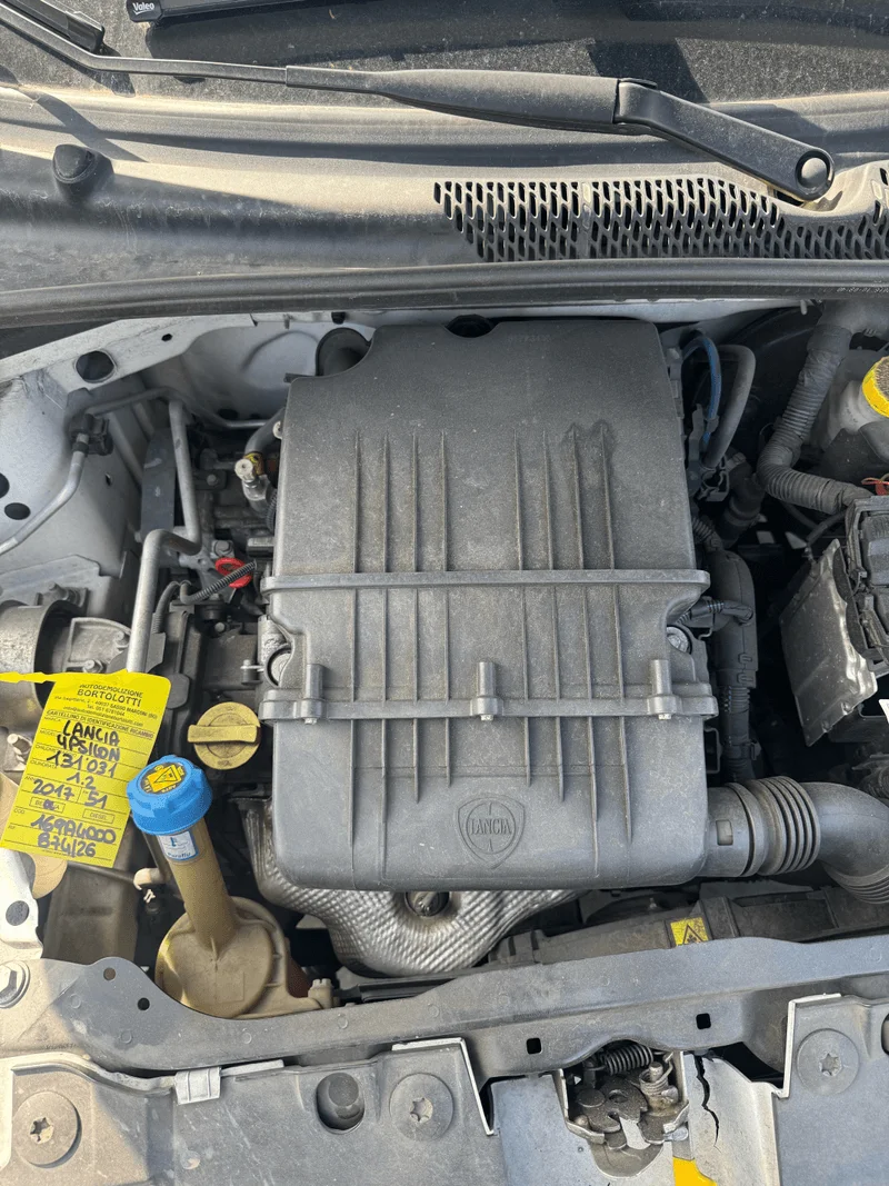 LANCIA YPSILON (TK) - immagine 14