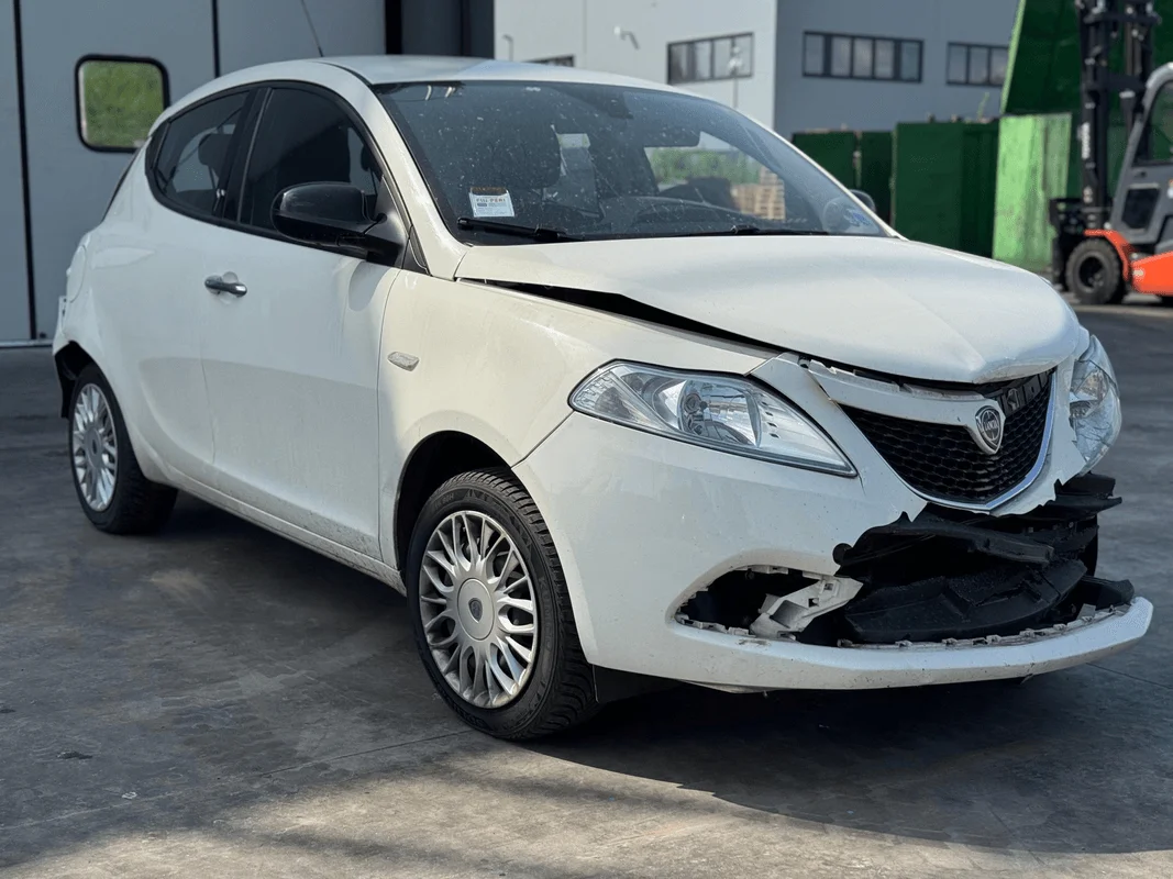 LANCIA YPSILON (TK) - immagine 7