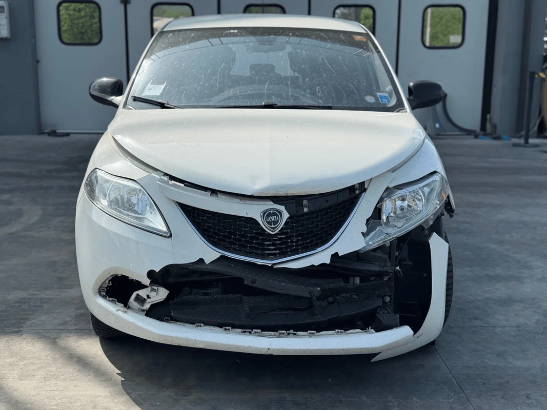 LANCIA YPSILON (TK) - immagine 8