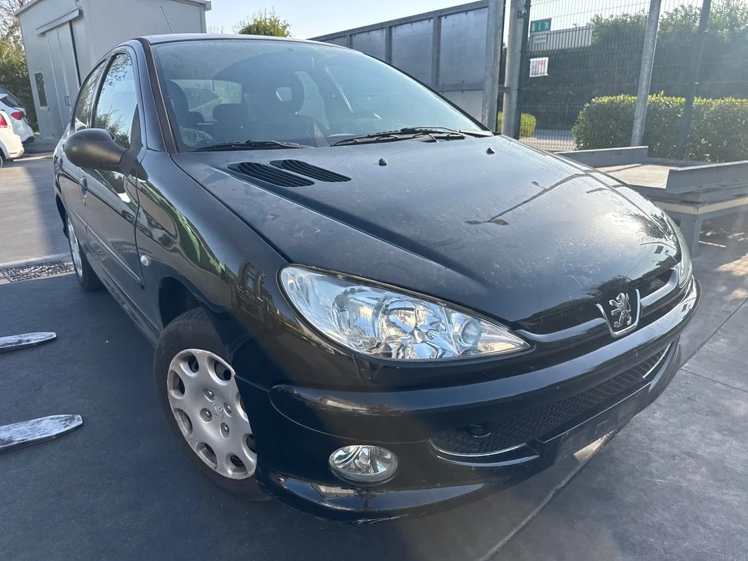 PEUGEOT 206 - immagine 4