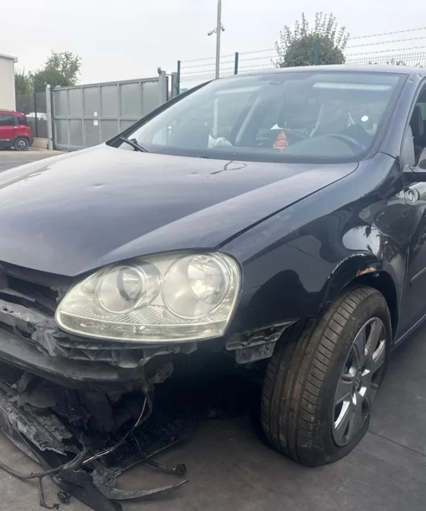 VOLKSWAGEN GOLF (1K)