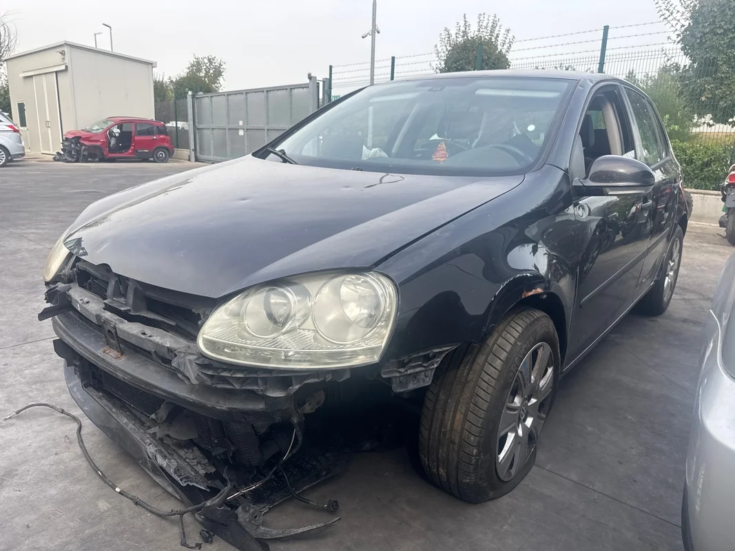 VOLKSWAGEN GOLF (1K)