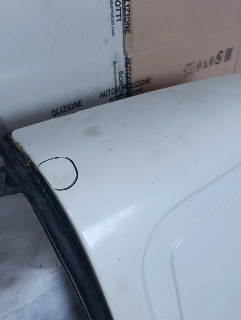 Porta carico post. a battente Destra - immagine 6