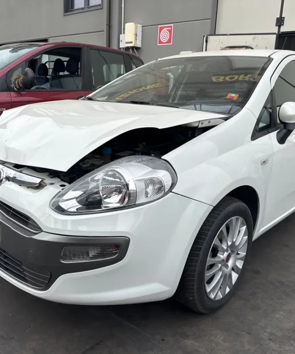 FIAT PUNTO EVO (3J)