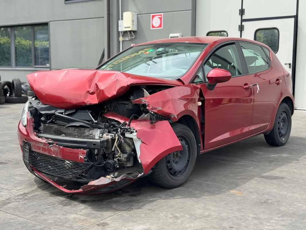 SEAT IBIZA (6J)