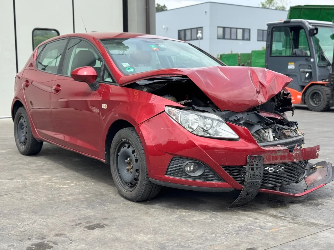 SEAT IBIZA (6J) - immagine 7