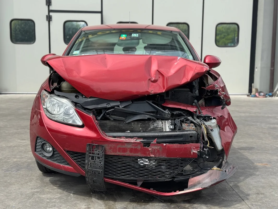SEAT IBIZA (6J) - immagine 8