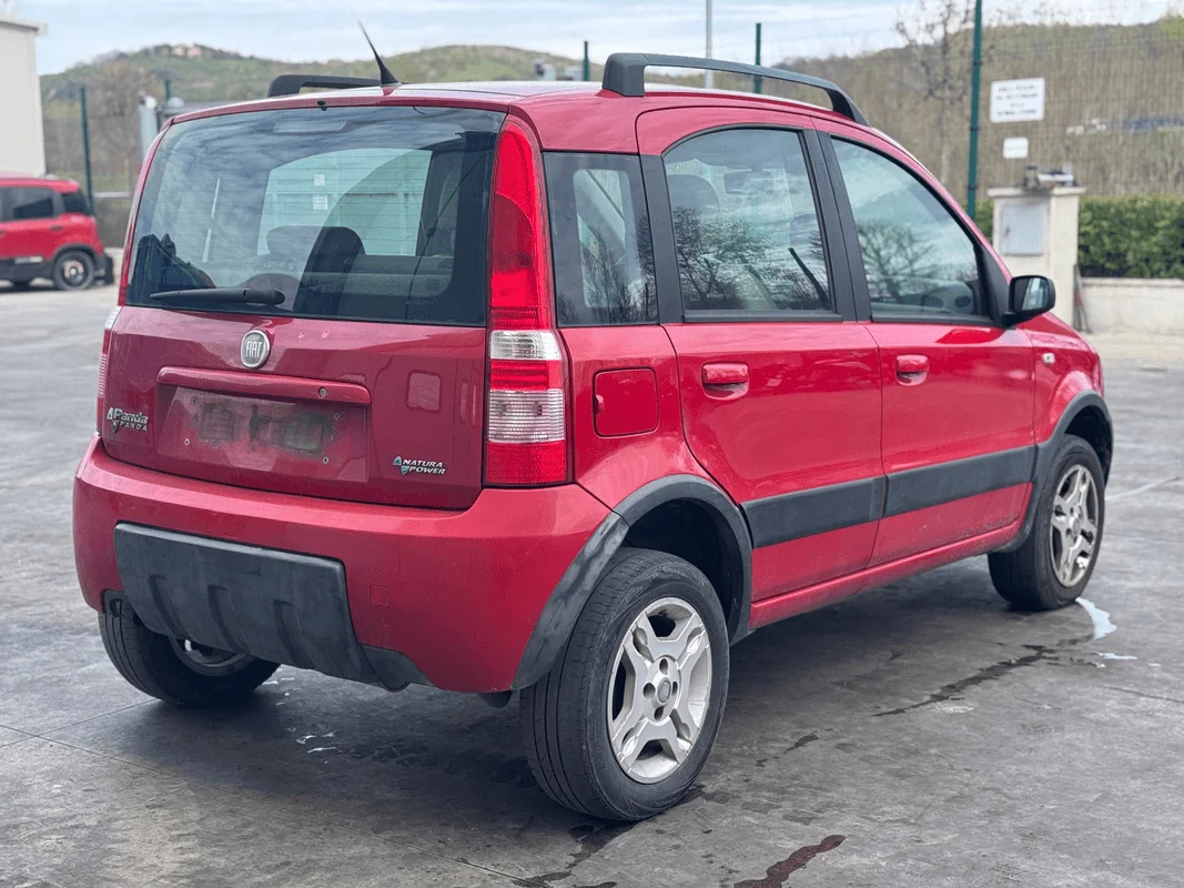 FIAT PANDA (2Q) - immagine 5