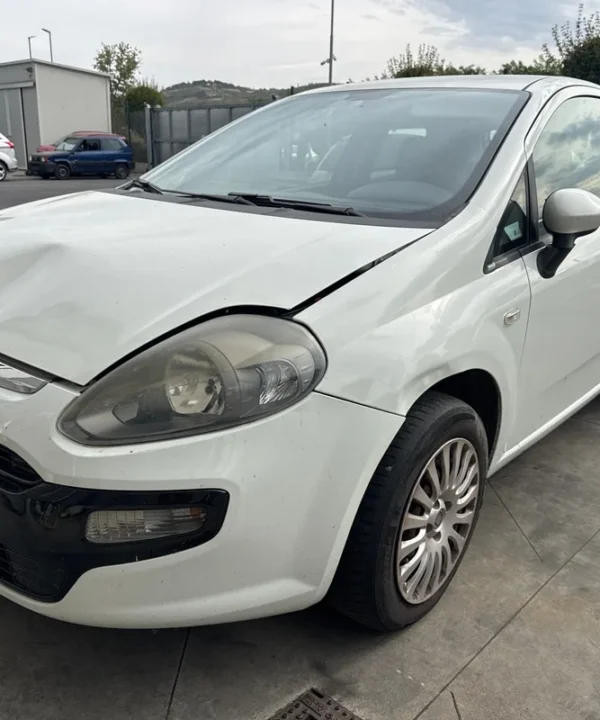 FIAT PUNTO EVO (3J)
