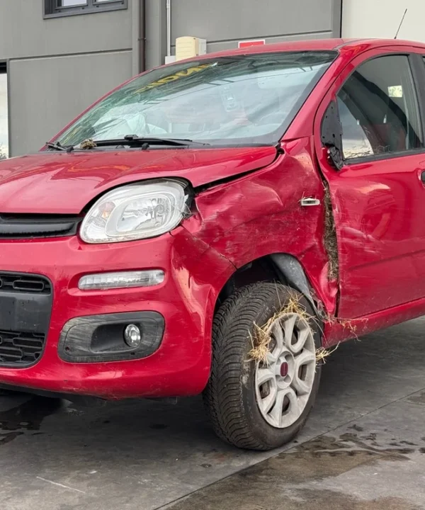 FIAT PANDA (33)