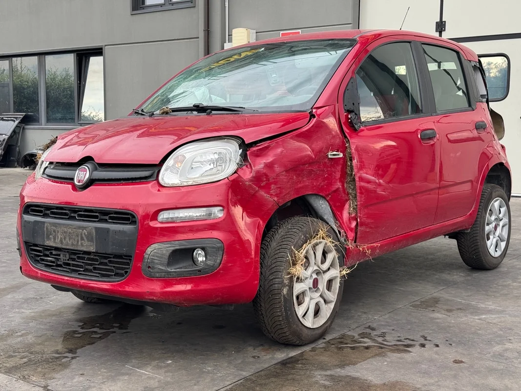 FIAT PANDA (33)