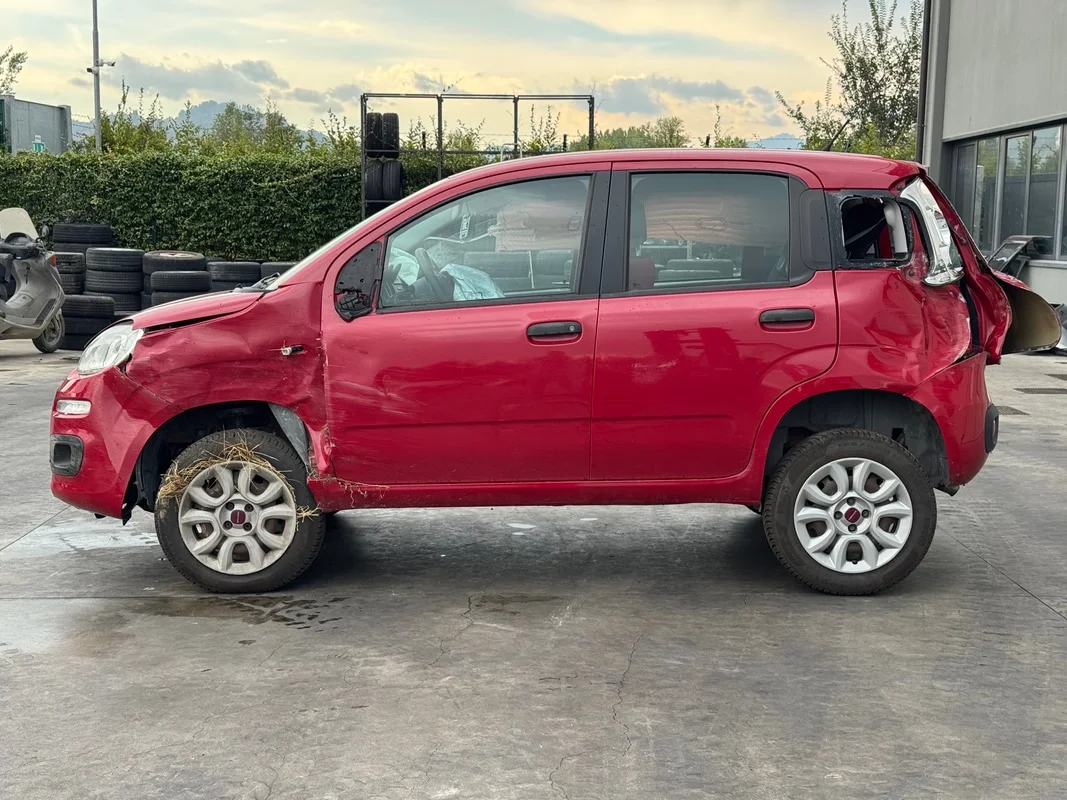 FIAT PANDA (33) - immagine 2