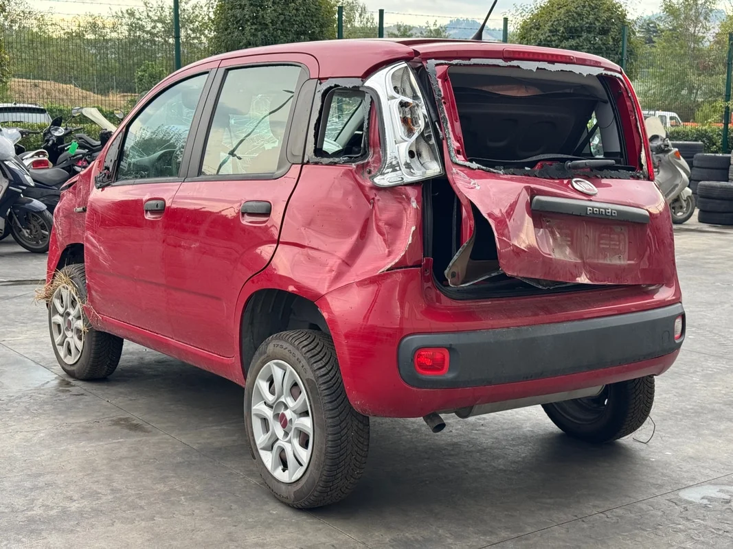 FIAT PANDA (33) - immagine 3