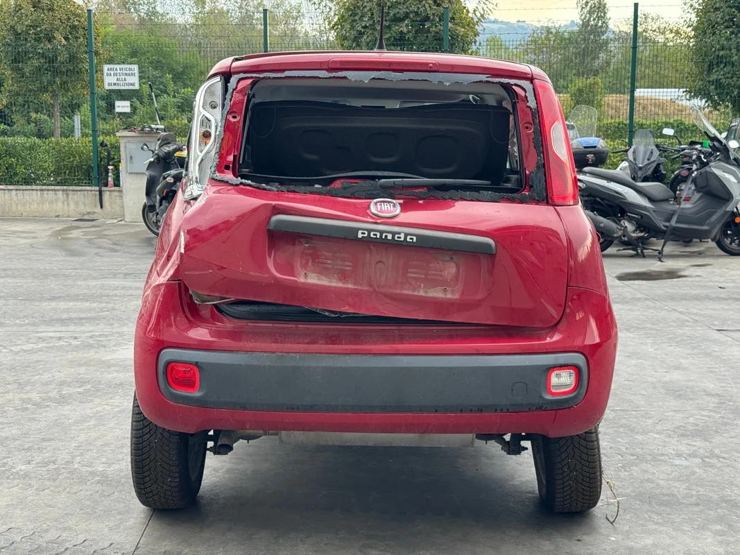 FIAT PANDA (33) - immagine 4