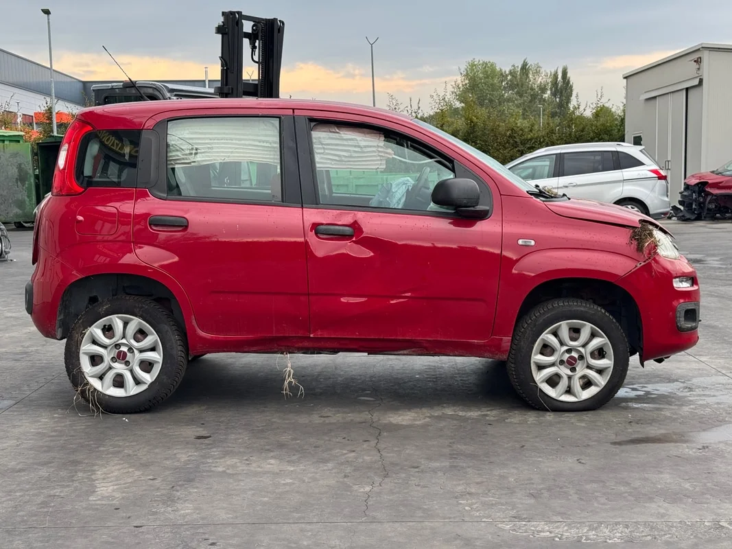 FIAT PANDA (33) - immagine 6