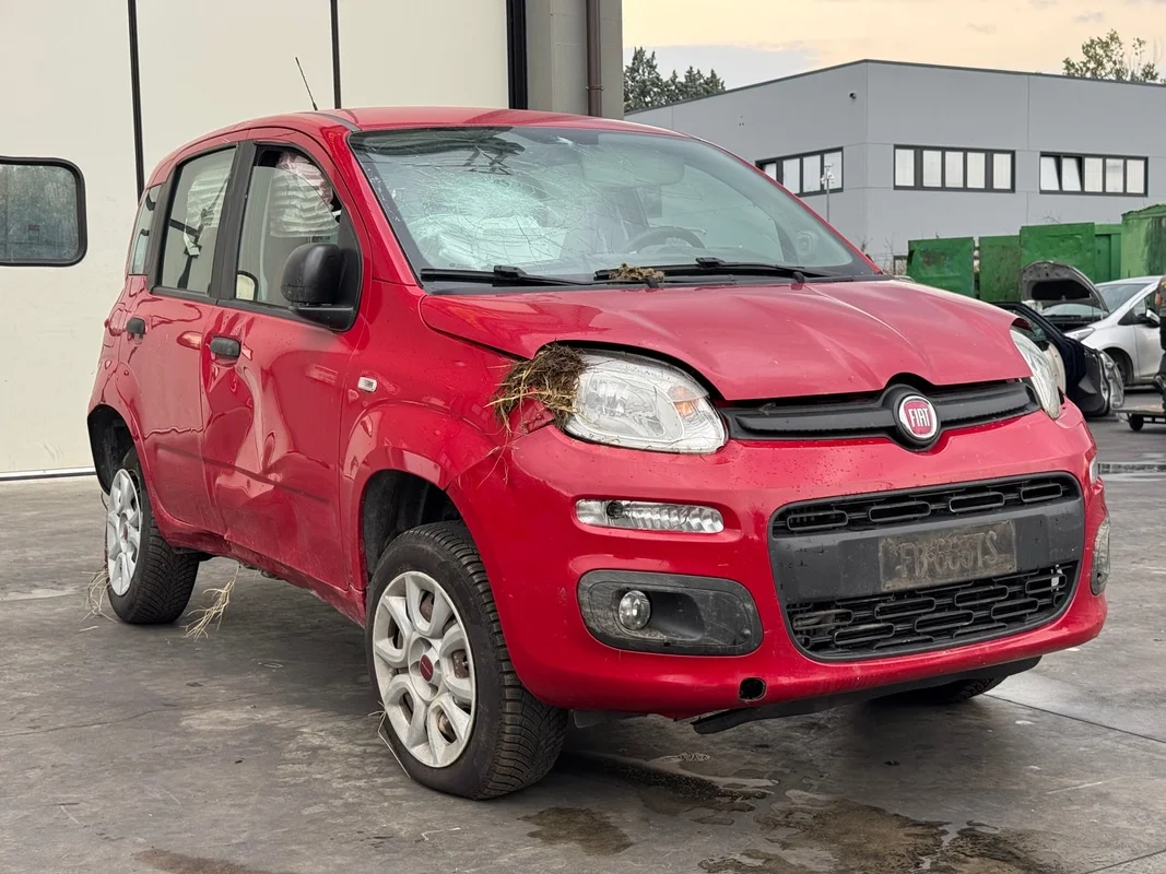 FIAT PANDA (33) - immagine 7
