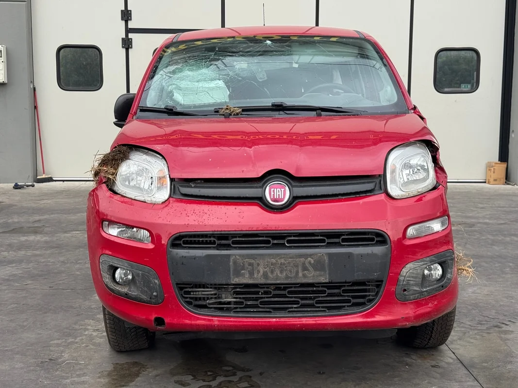 FIAT PANDA (33) - immagine 8