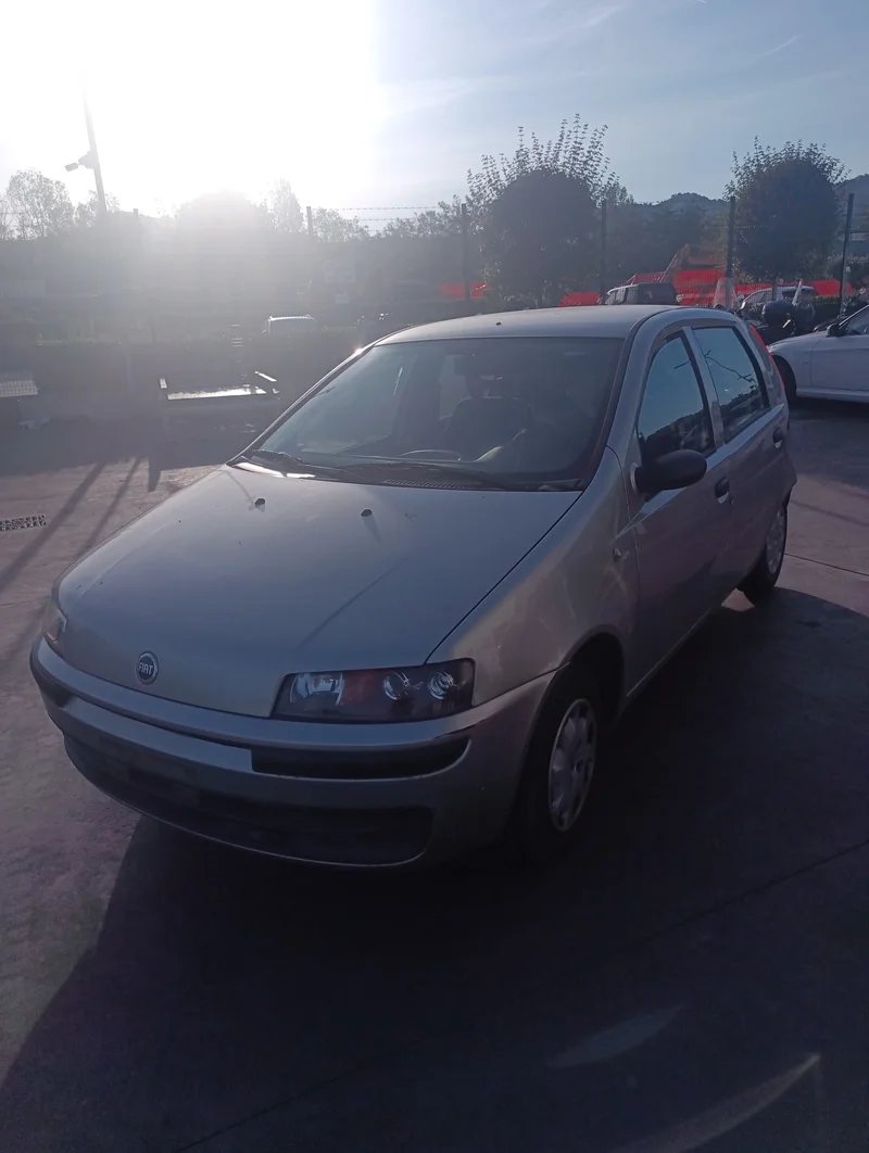 FIAT PUNTO (1N/1P)