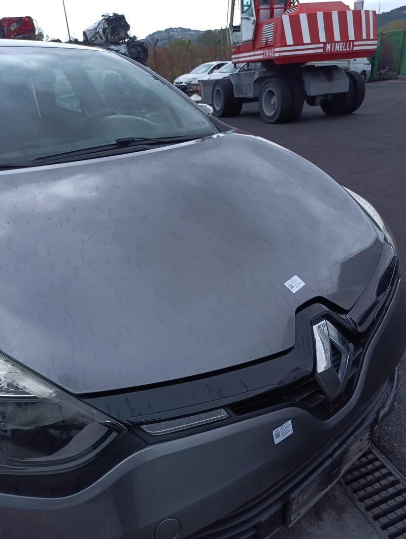 Cofano ant. - immagine 4