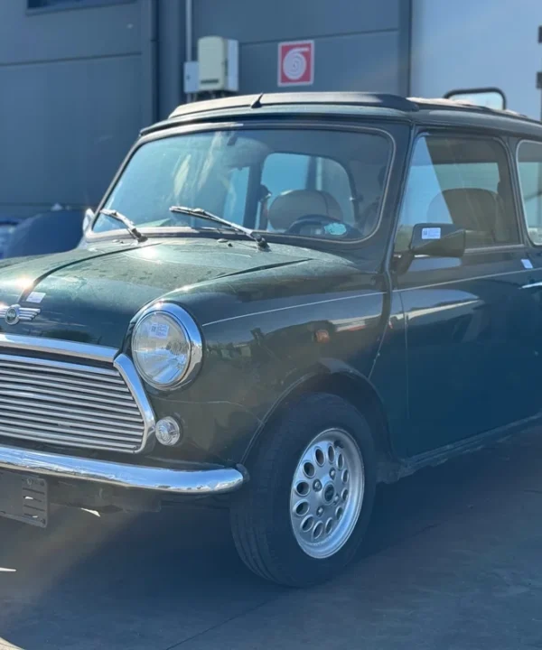 ROVER MINI