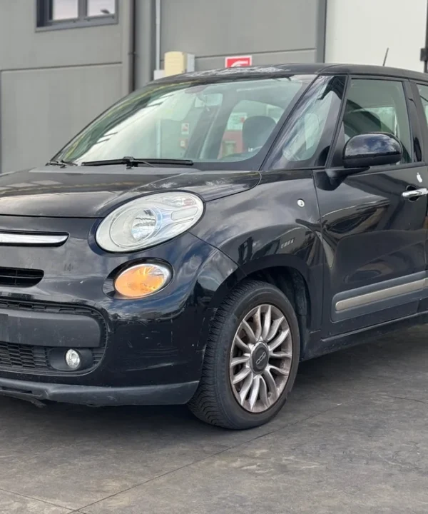 FIAT 500L (73)