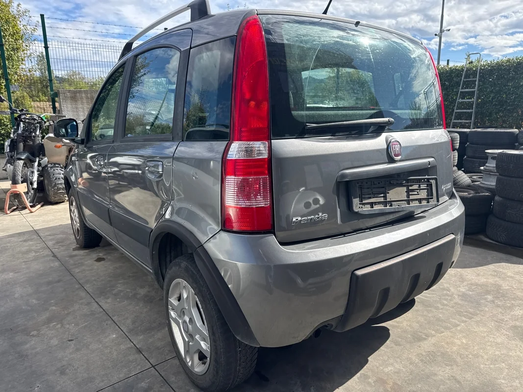 FIAT PANDA (3U) - immagine 2