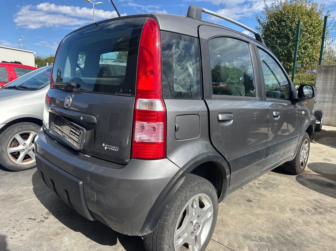 FIAT PANDA (3U) - immagine 3