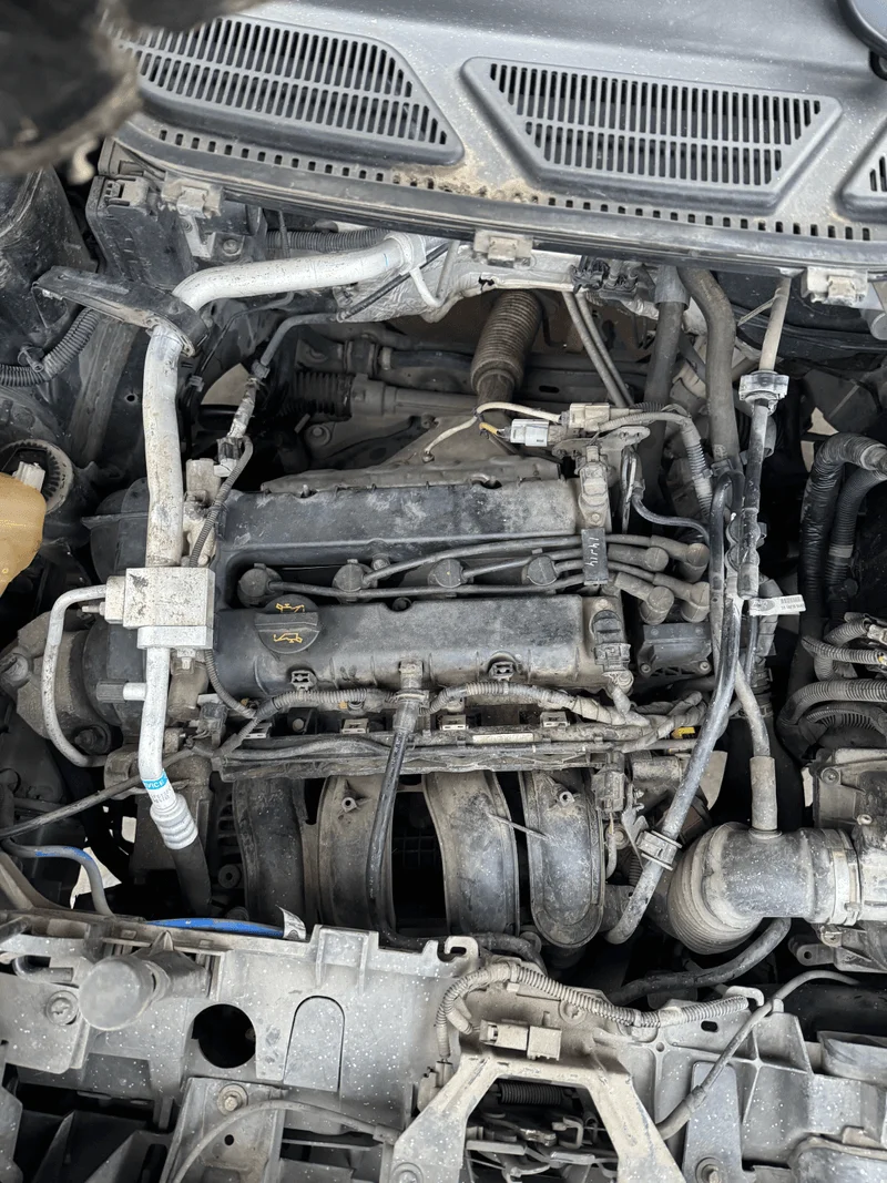 FORD ECOSPORT - immagine 13