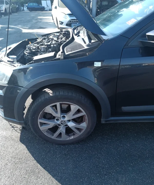 Parafango ant. Sinistra